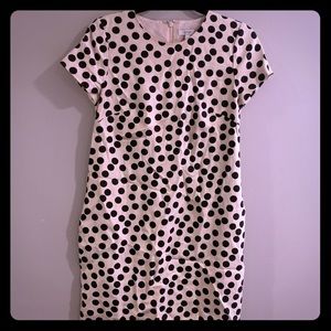 J.Crew Polka dot dress